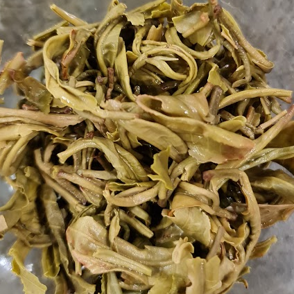 Lục trà Shan tuyết cổ thụ Tủa Chùa