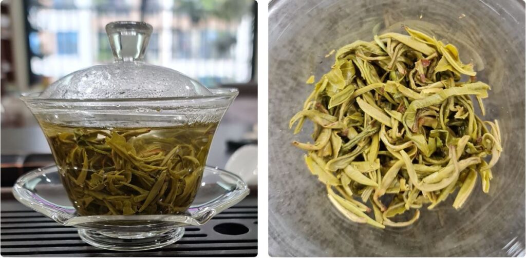 lục trà shan tuyết cổ thụ Tủa Chùa trong và sau khi pha