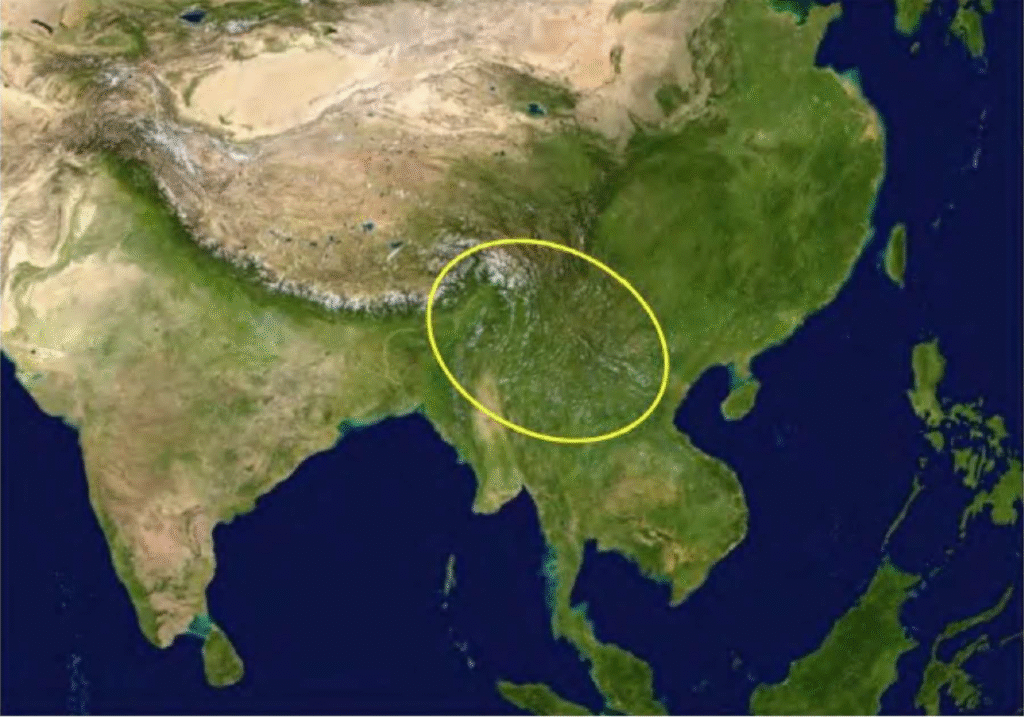 cái nôi của cây chè