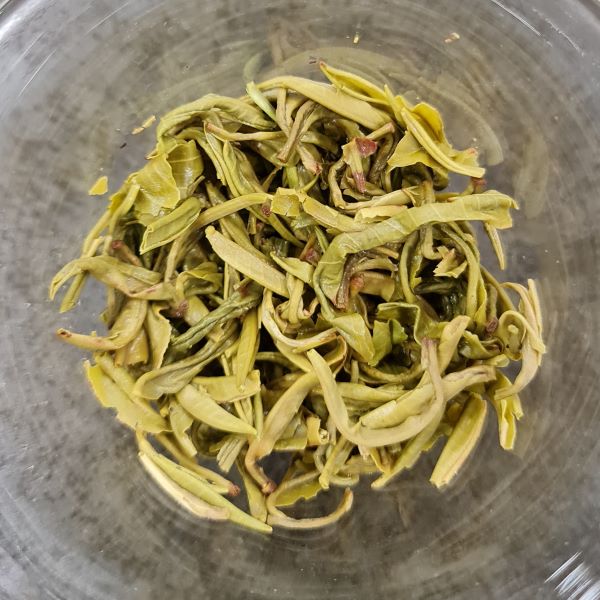 Lục trà Shan Tuyết Cổ Thụ Tủa Chùa 1 tôm 1 lá - chè sau khi pha